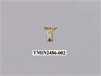 藏品(黃波緣苔蛾)的圖片